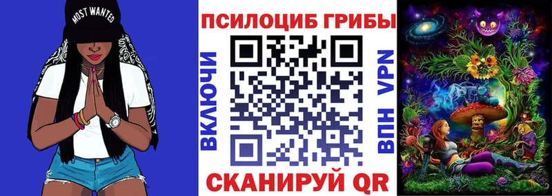 Галлюциногенные грибы Cubensis  OMG tor  Челябинск  сколько стоит 
